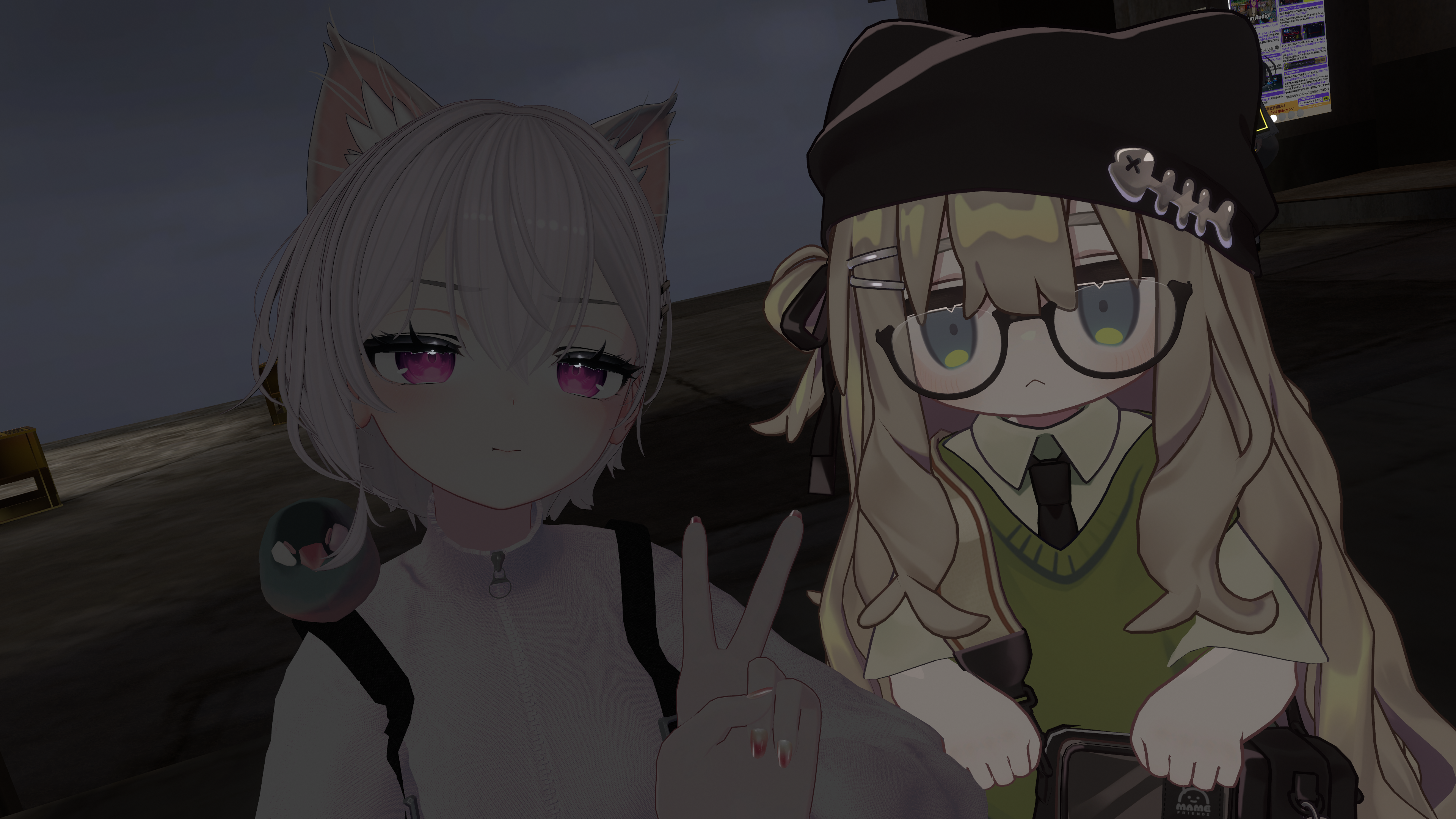 VRChat Photo